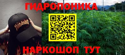 кокаин колумбия Кингисепп