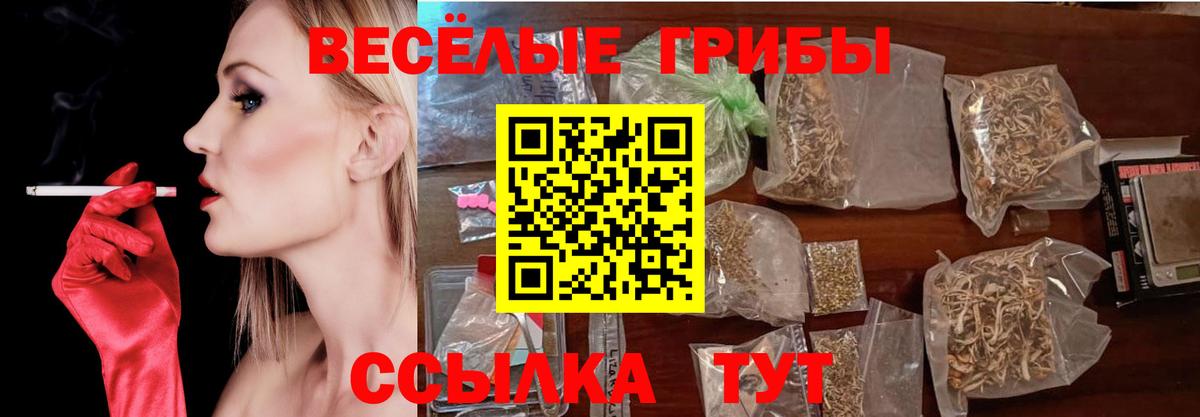 Псилоцибиновые грибы Cubensis  Вход с VPN  Кушва 